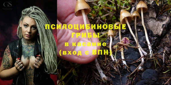 MESCALINE Покачи