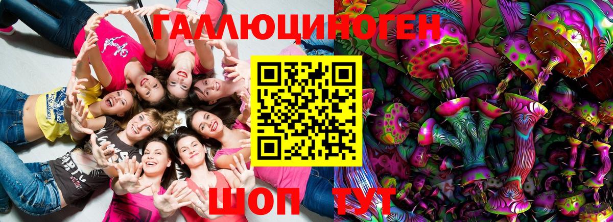Галлюциногенные грибы Psilocybine cubensis Белореченск