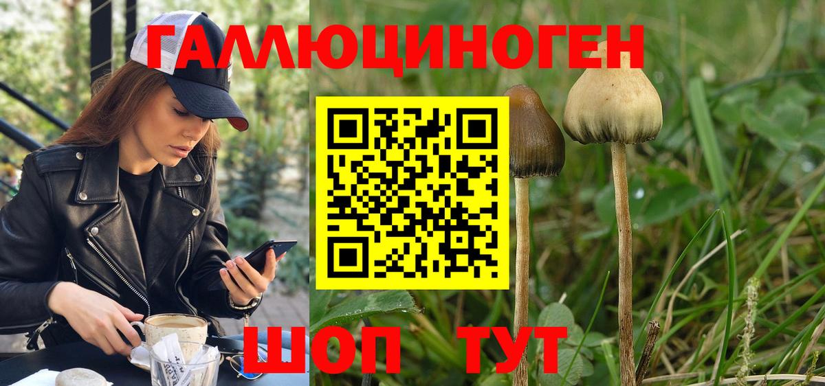 Псилоцибиновые грибы мицелий Белореченск