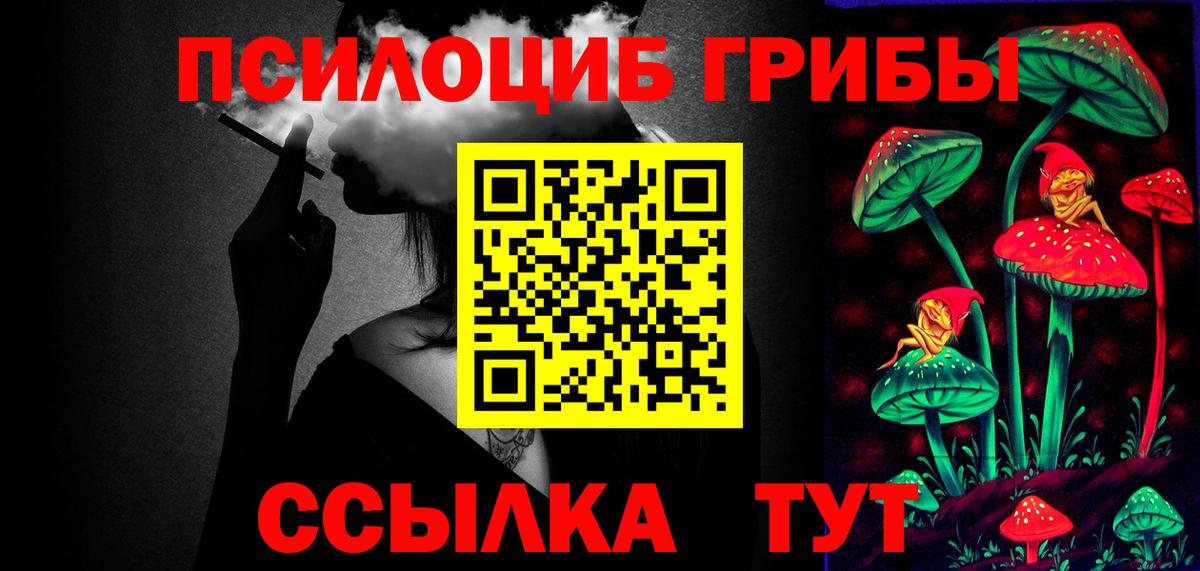 Галлюциногенные грибы MAGIC MUSHROOMS  Псилоцибиновые грибы Psilocybe  Белореченск 