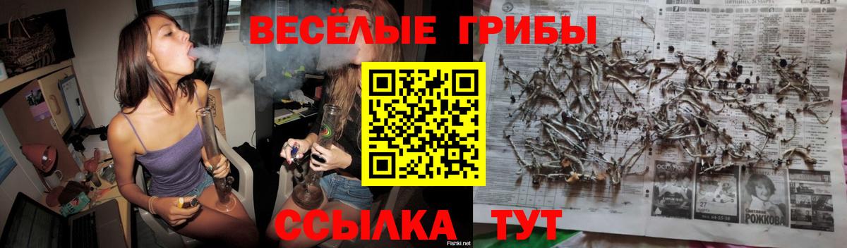 Галлюциногенные грибы Psilocybine cubensis  Галлюциногенные грибы Psilocybine cubensis  Вход с VPN  Белореченск 