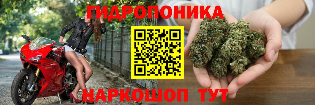 Канабис сатива Белореченск